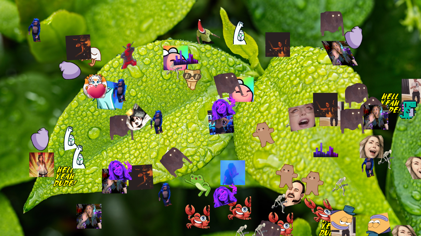 Twitch Chat Emotes overlay